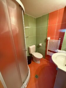 Cazare Bran - Casa Panora - Camera 4 - Baie