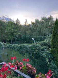 Cazare Bran Casa Panora Teren de Fotbal