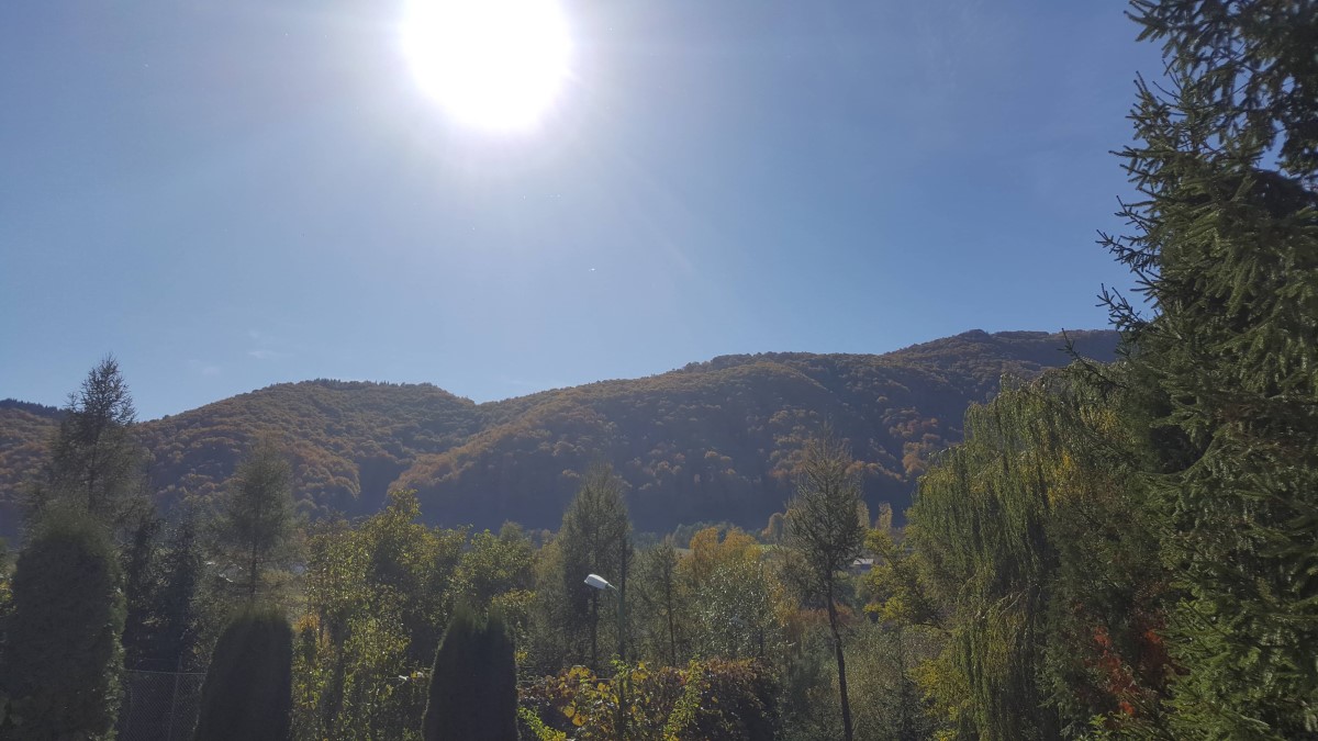 Cazare Bran Casa Panora Priveliște din curte