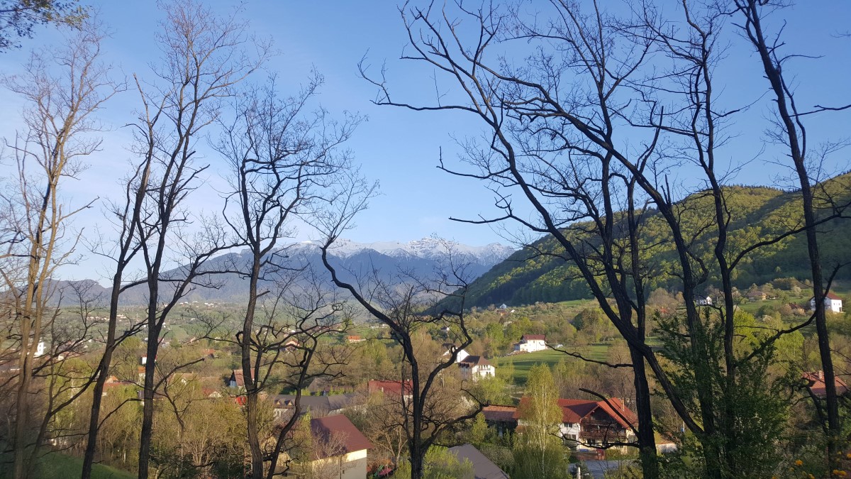 Cazare Bran Casa Panora Priveliște Bucegi