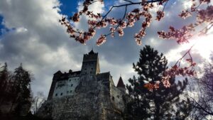 Cazare Bran - Casa Panora - Atracții - Castelul Bran