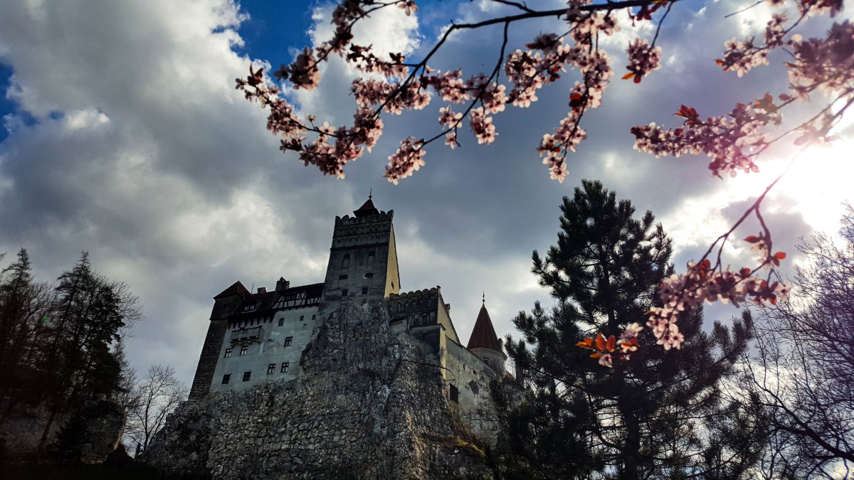 Cazare Bran - Casa Panora - Atracții - Castelul Bran