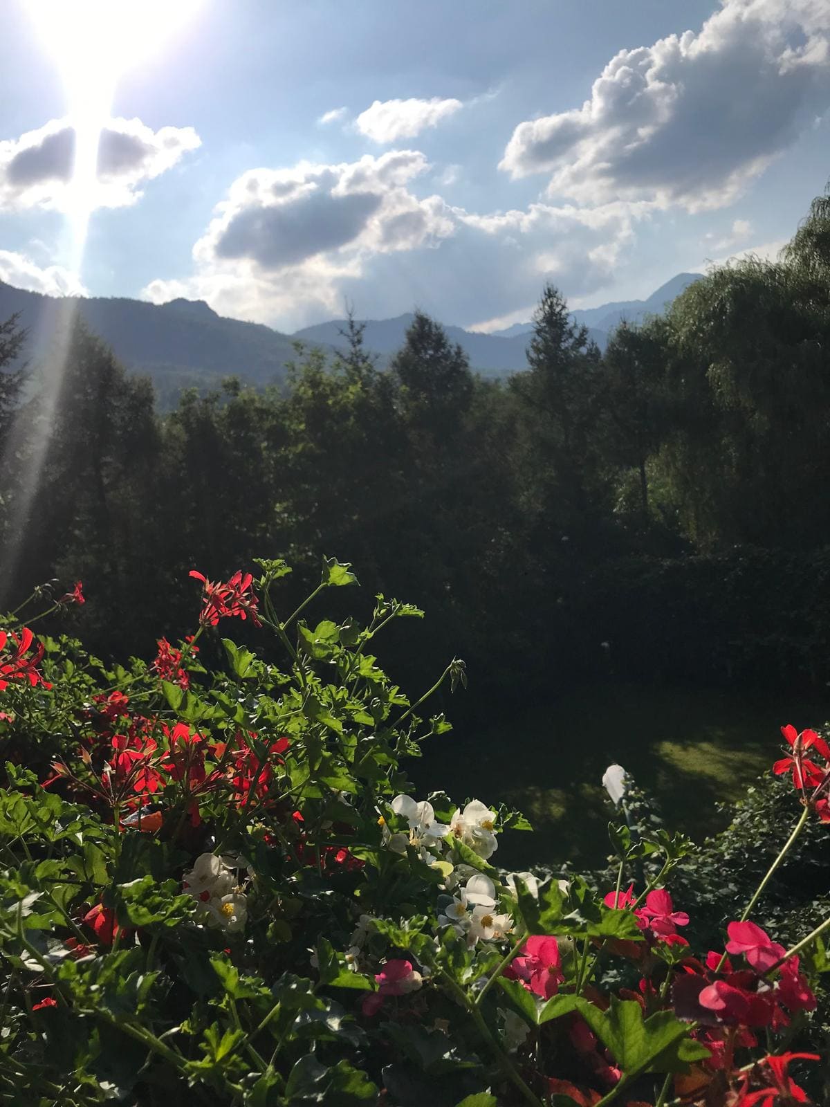 Cazare Bran - Casa Panora - Priveliște Piatra Craiului