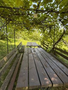 Cazare Bran - Casa Panora Terasa