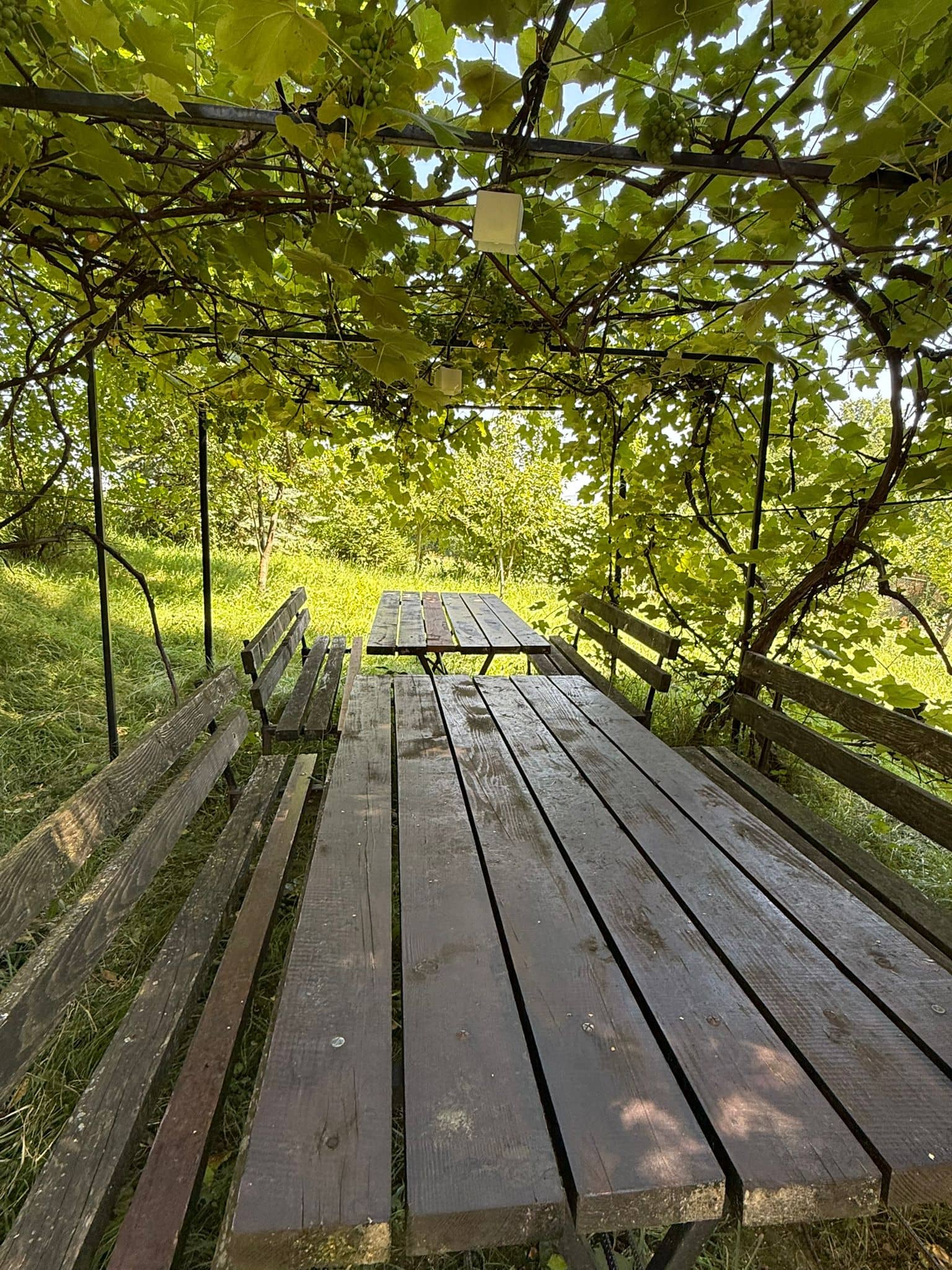 Cazare Bran - Casa Panora Terasa