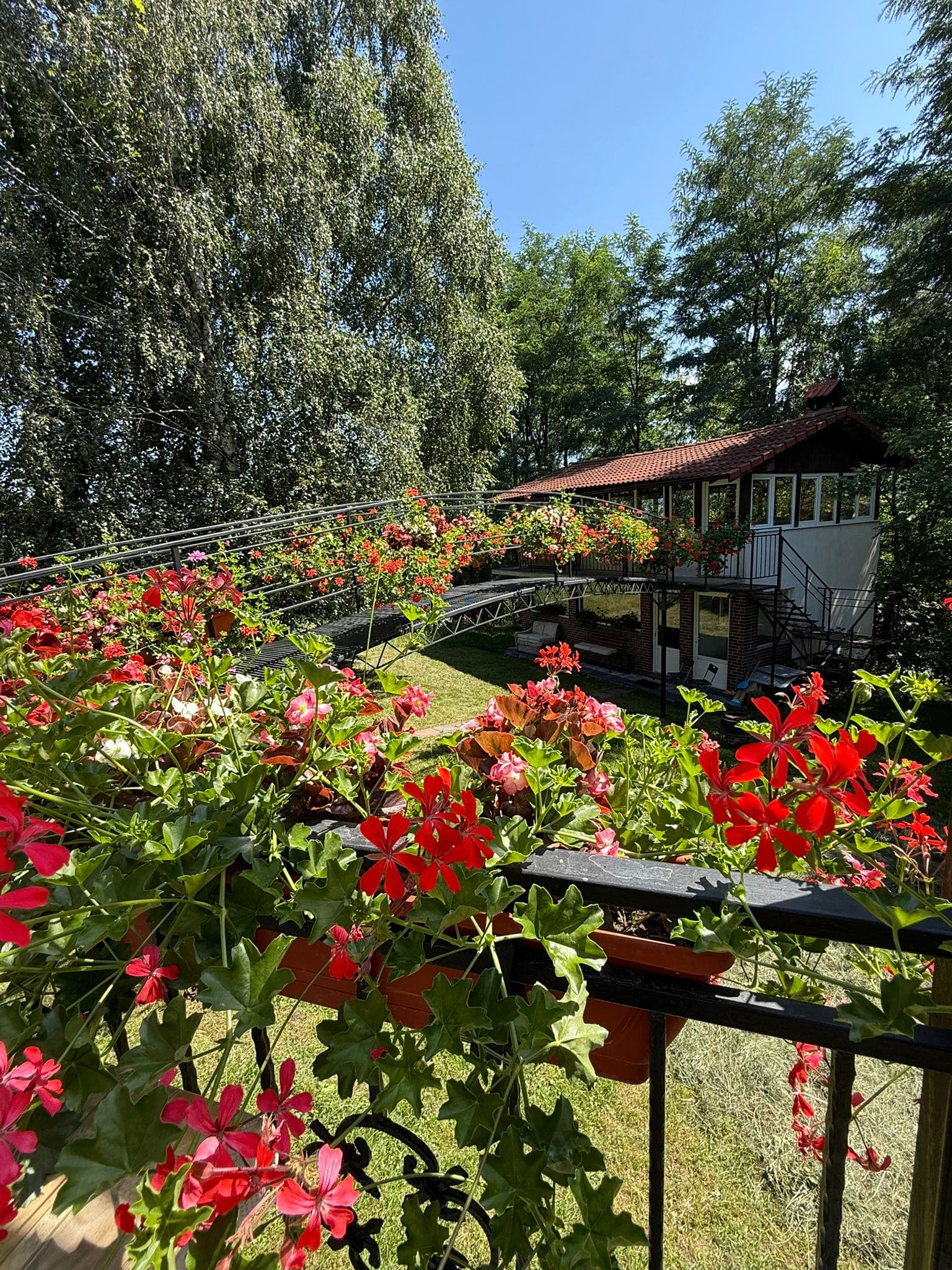 Cazare Bran - Casa Panora - Foișor